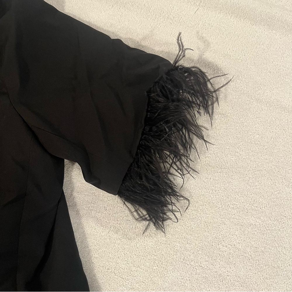 Black Blazer Top with Feathered Sleeves